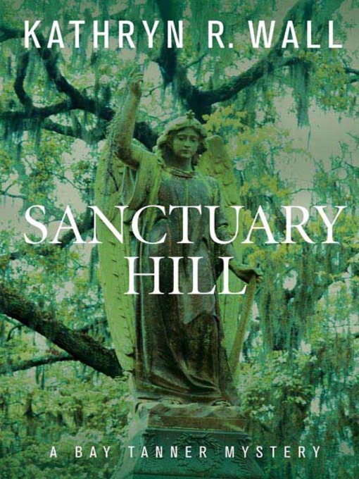 Title details for Sanctuary Hill by Kathryn R. Wall - Wait list
